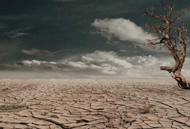 Enfoque en el impacto y el clima