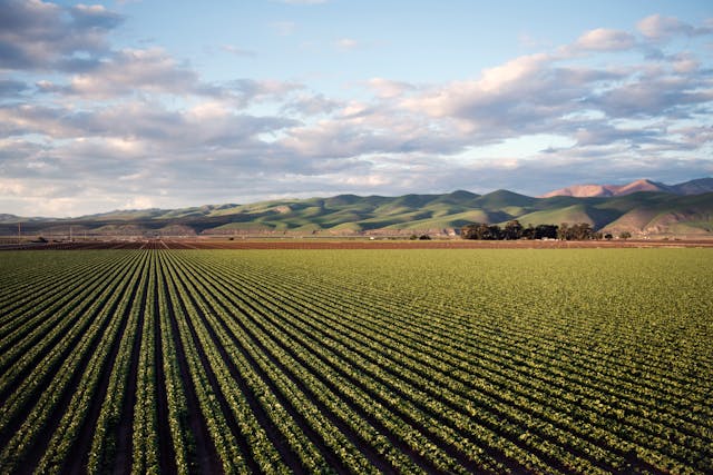 Agricultura eficiente en recursos en Perú